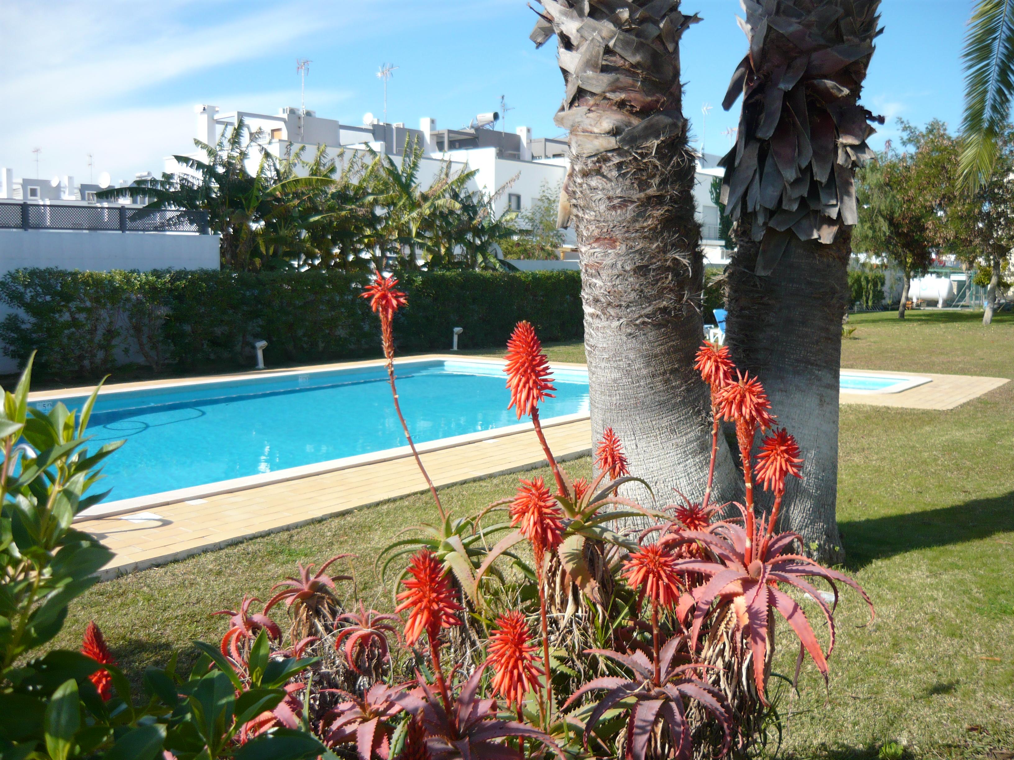 מנטה רוטה Praia Da Lota Resort - Beachfront Hotel מראה חיצוני תמונה