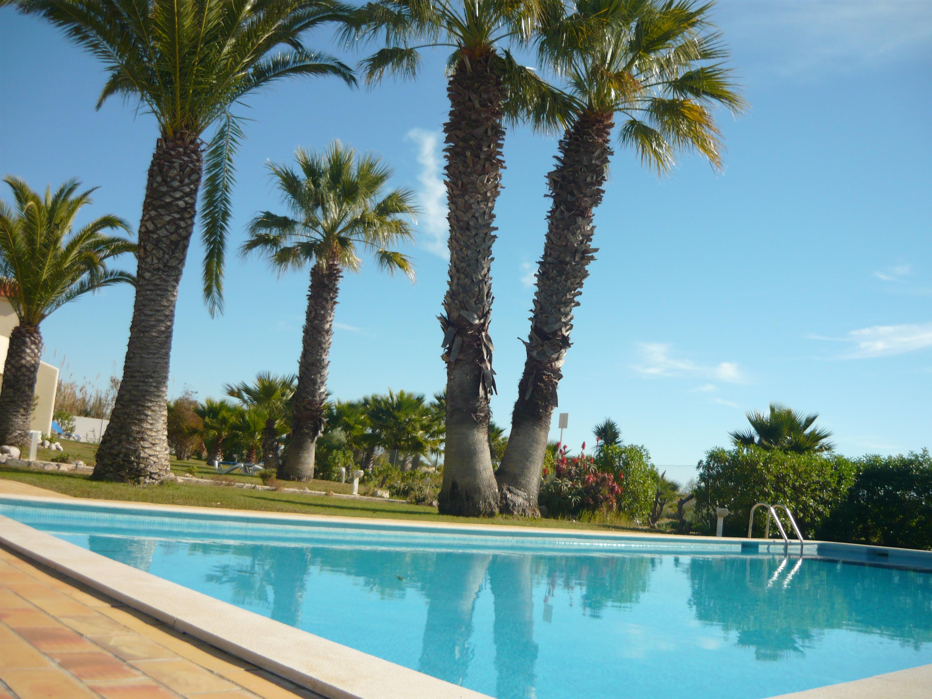 מנטה רוטה Praia Da Lota Resort - Beachfront Hotel מראה חיצוני תמונה
