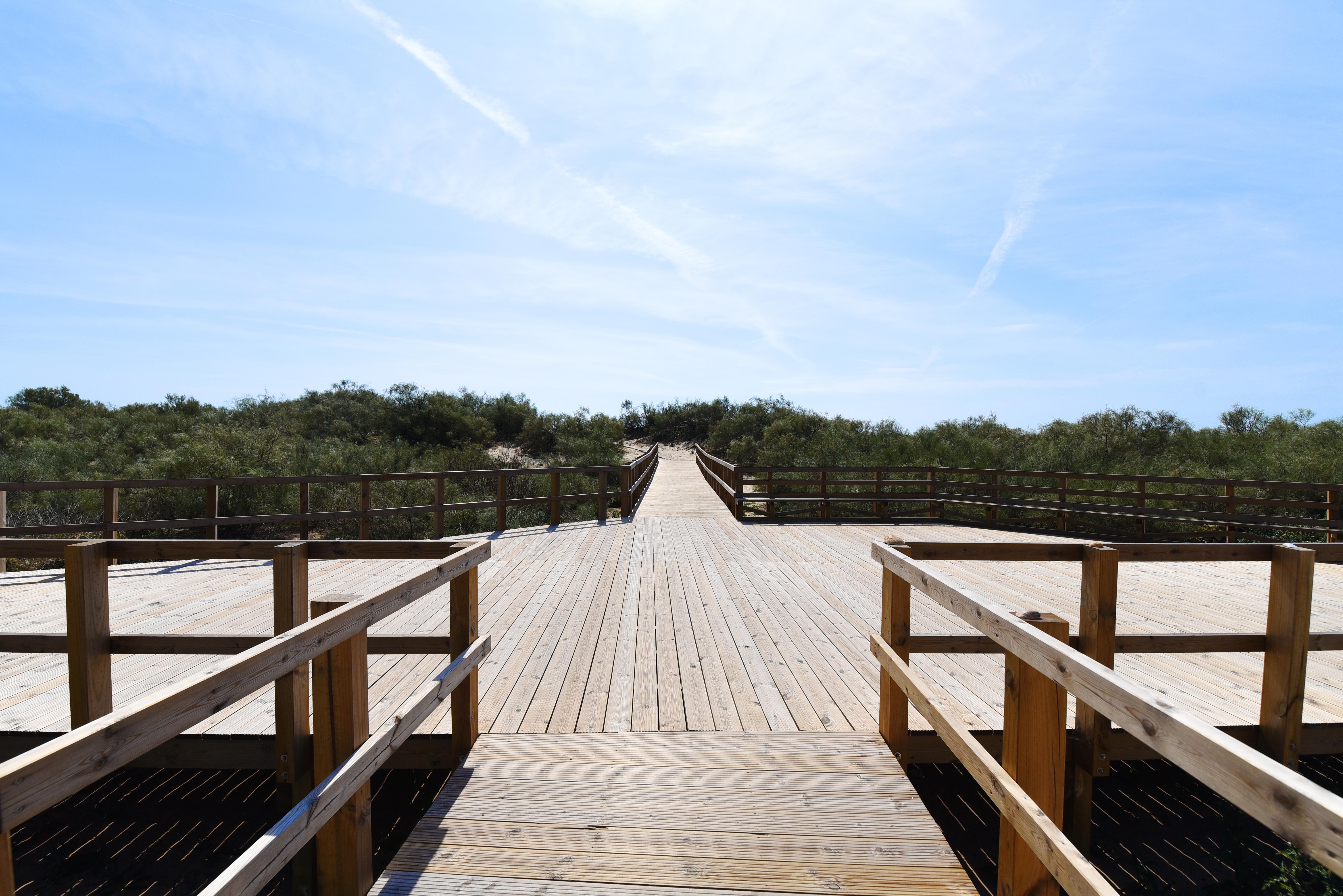 מנטה רוטה Praia Da Lota Resort - Beachfront Hotel מראה חיצוני תמונה